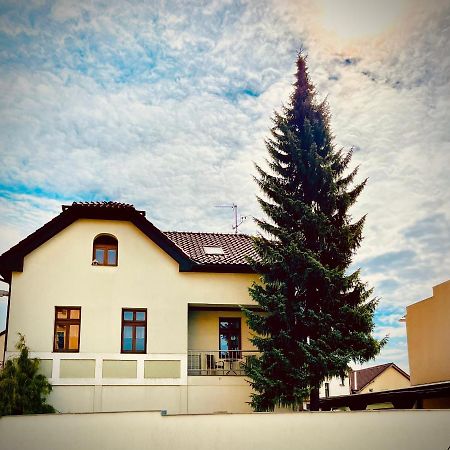 Apartman U Smrku Dvůr Králové nad Labem Kültér fotó