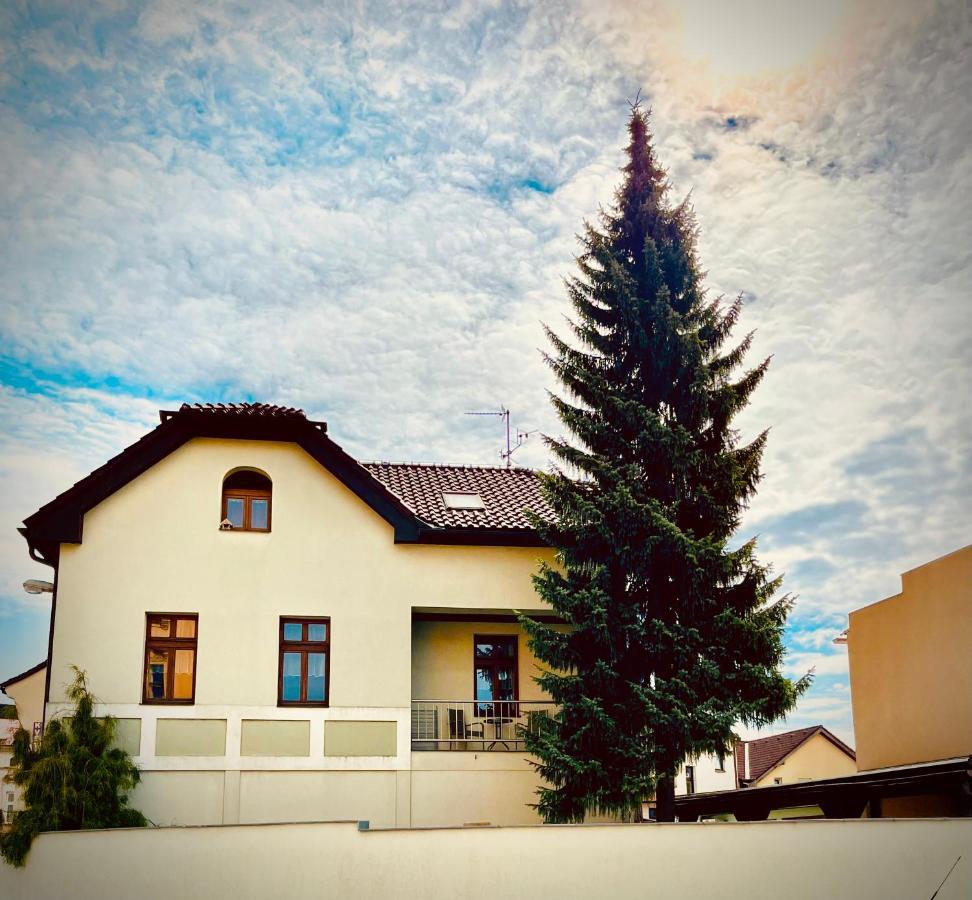 Apartman U Smrku Dvůr Králové nad Labem Kültér fotó